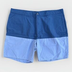 Patagonia Organic Cotton Color Block Chino Shorts